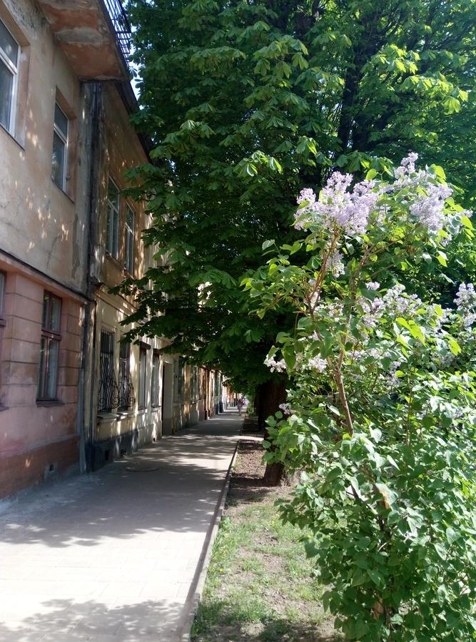 Lviv Appartment On Yaroslava Mudrogo 14 Luaran gambar